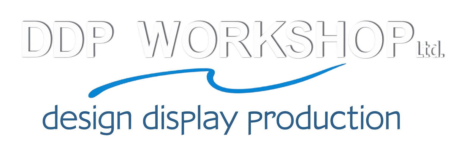 DDP Workshop